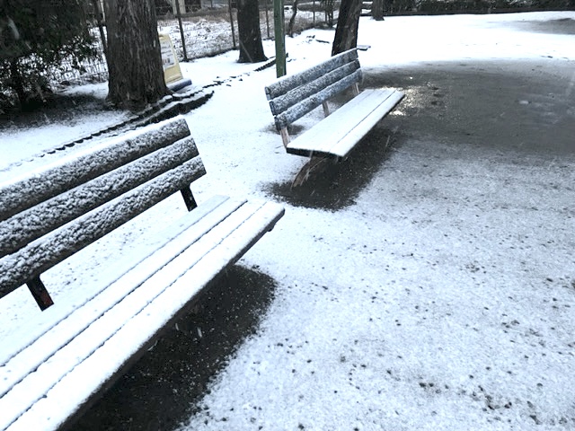 bench